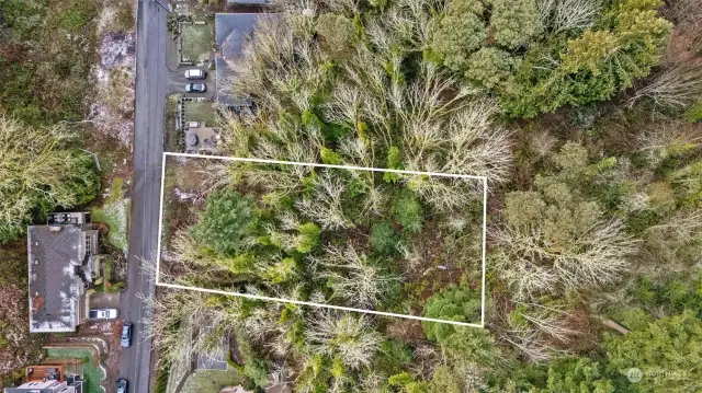 This 1/4 Acre lot is stunning! Property lines are approximate outline.