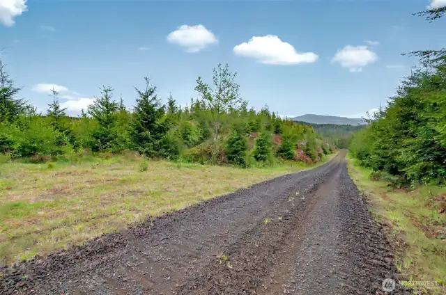 Interior road