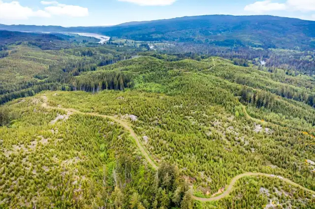 Aerial Views