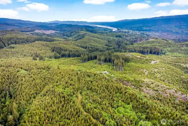 Aerial Views