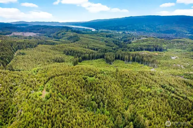 Aerial Views