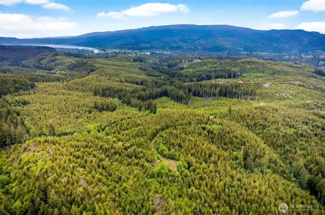 Aerial Views