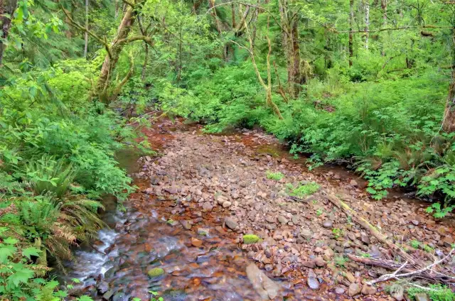 Dell Creek
