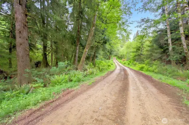 Road leading to Creek