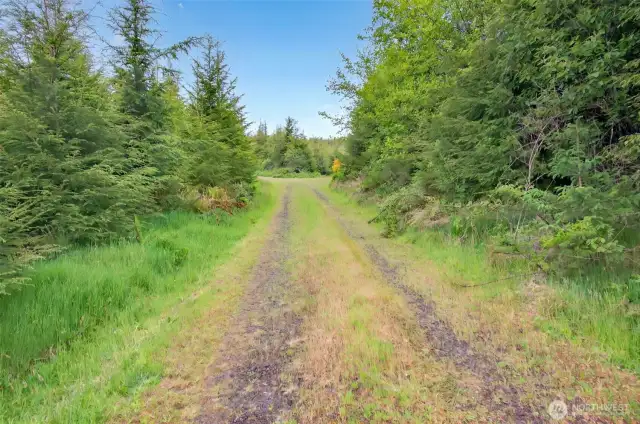 Interior Road on East portion of property