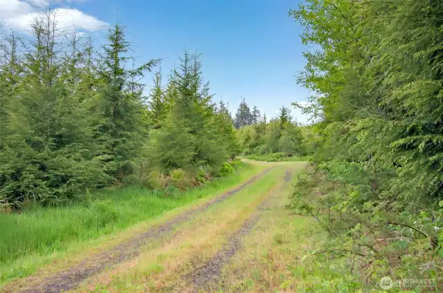 Interior road on East portion of property
