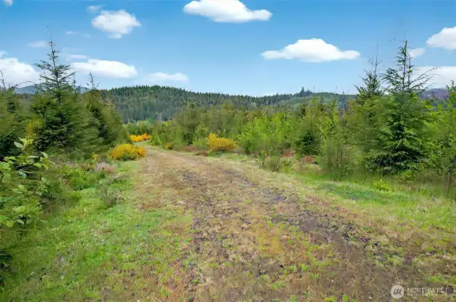 Interior road