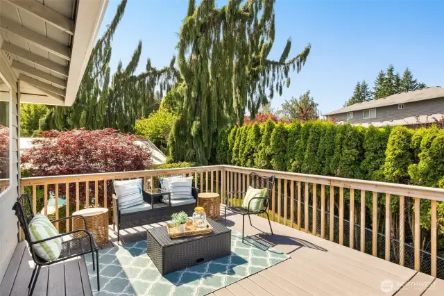 Trex deck off great room!