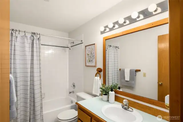Lower level full bath