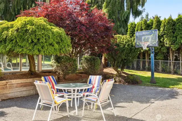 Patio w/sport court