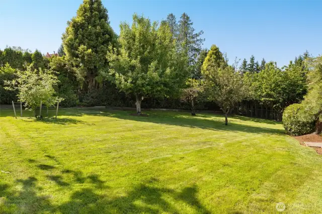 Double lot for all your dreams!