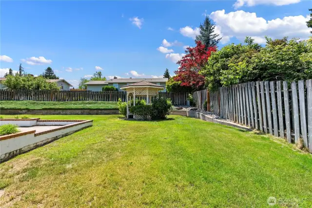 Back yard