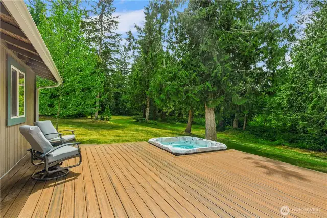 Low maintenance Trex decking for back porcj