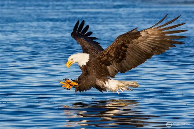 Immerse yourself in nature without giving up comfort and modern luxuries