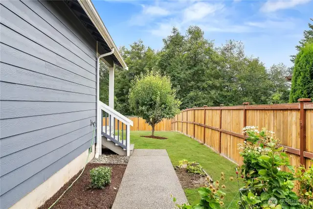 Fully fenced backyard with a landscaped path, lush lawn, mature pear tree, and blackberries for added charm and privacy.