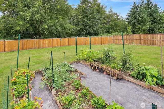 Raised garden beds ready for your favorite vegetables, herbs, and flowers, set within a fully fenced backyard.