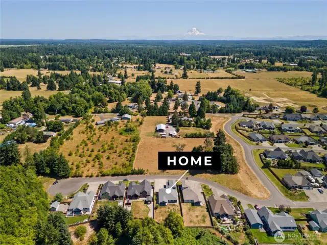 Expansive aerial view showcasing the home’s serene rural setting, with open pastures, lush greenery, and a stunning backdrop of Mount Rainier.