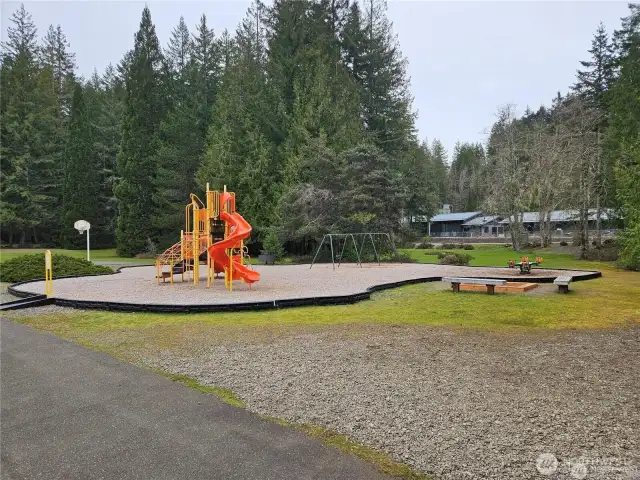 Park at Lake Kokanee