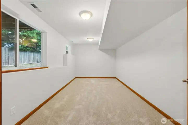 BONUS ROOM LOWER LEVEL