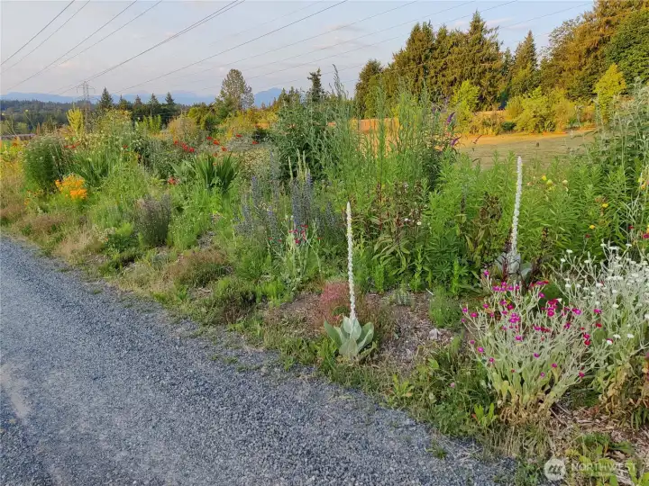 SPRING / SUMMER BLOOM