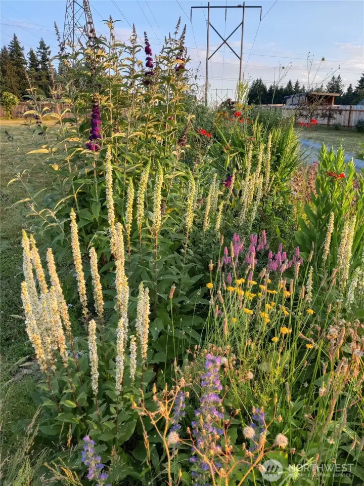 SPRING / SUMMER BLOOM