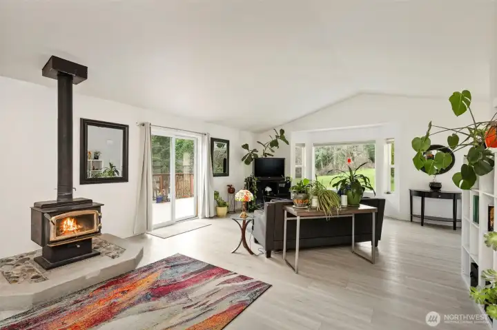 Large wood burning stove