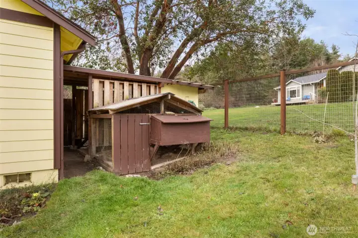 Chicken coop, woodshed, and toolshed