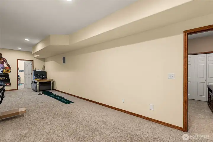 Rec room lower level