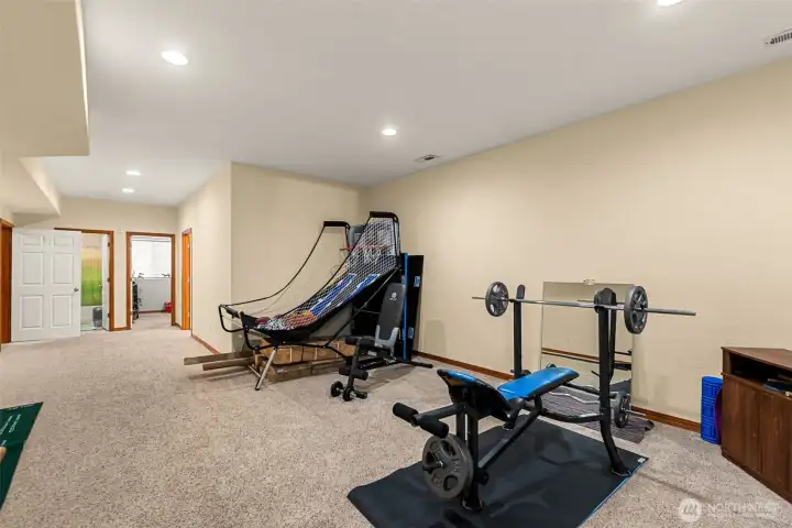 Rec room lower level