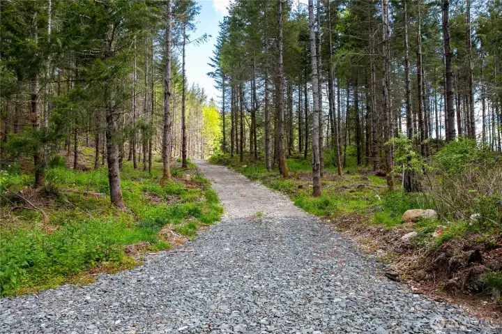 Driveway coming off of Academy Highlands Dr