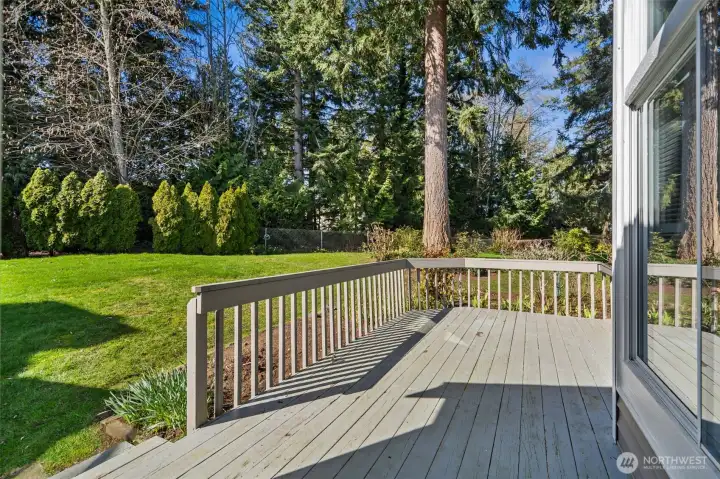 Back Deck with mature landscape.