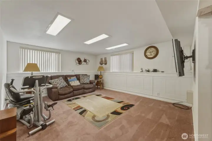 Basement living room