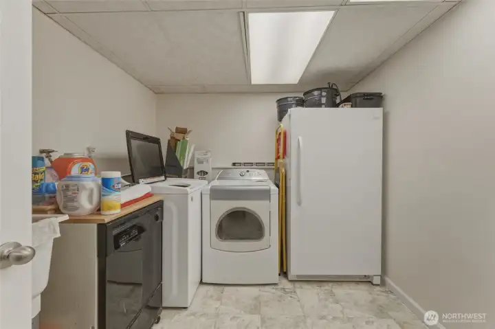 Utility room - basement