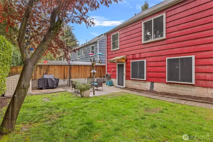 Back yard