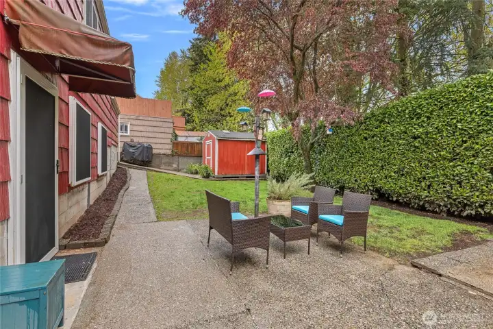 Back yard patio