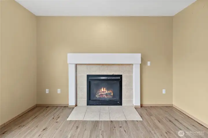 Gas Fire Place