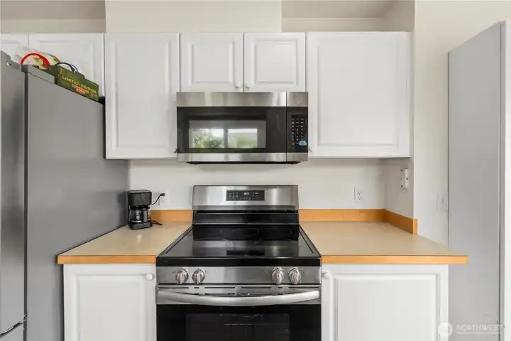 Electric stove and microwave