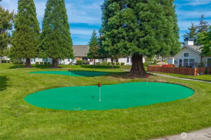 Golfers community putting green