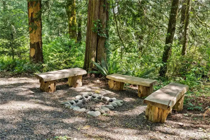 In ground fire pit / camping area