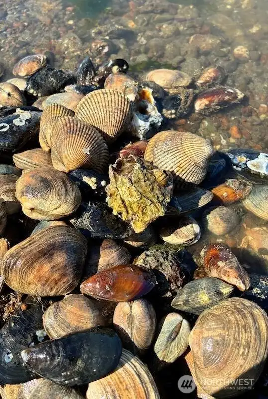 Private tidelands to harvest your own shellfish Private tidelands to harvest your own shellfish