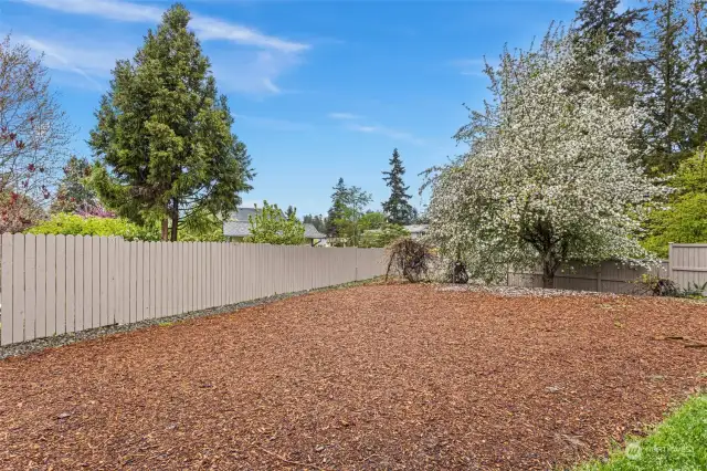 Fully fenced backyard