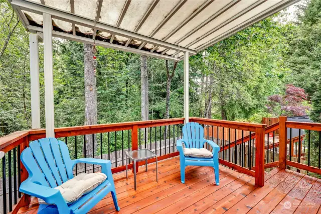 Gorgeous covered deck with view of the woods provides a quiet retreat.