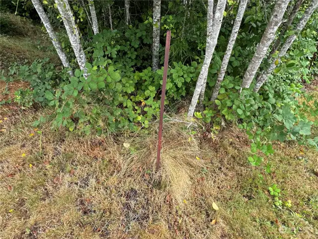 Stake to mark Left Corner of Subject Property.