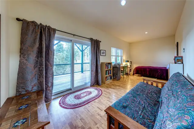 Lower Level Family Room