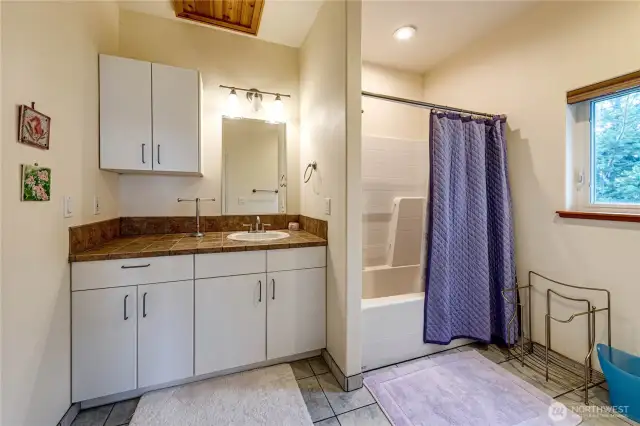 Lower Level Full Bathroom