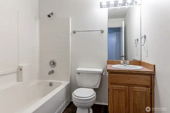 Lower Level Bathroom