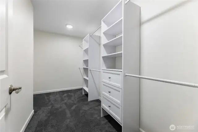Apartment Walk In Closet with Organizer