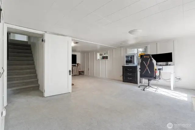 Lower level family/living room