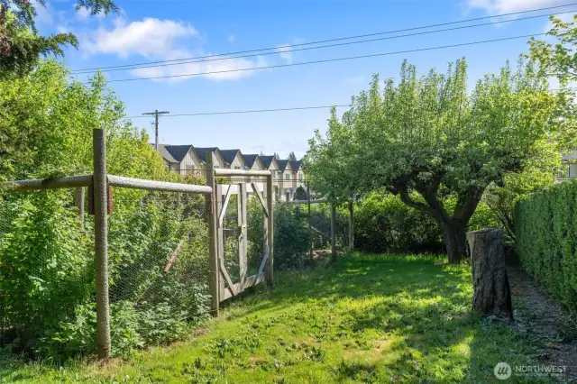 One of two fenced gardens