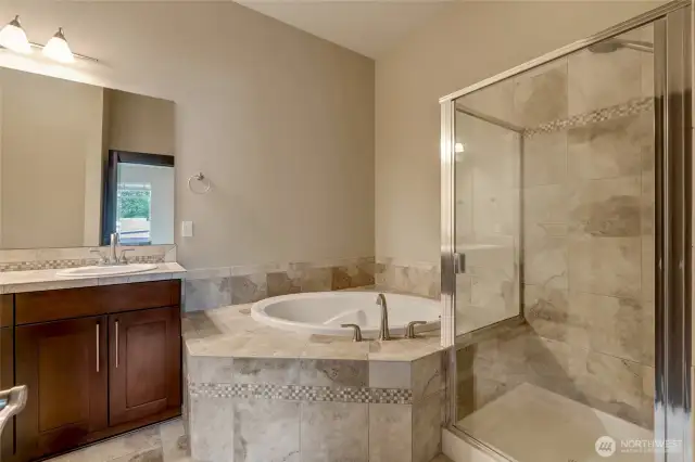 A 5 piece Primary Suite Bathroom! Bubble bath time!